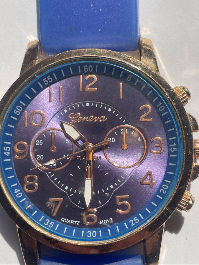 Watch - Geneva Platimum