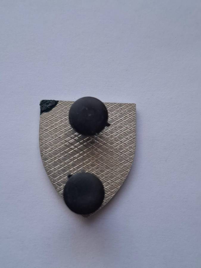 SADF - Buffel driver proficiency badge (metal) (all pins)