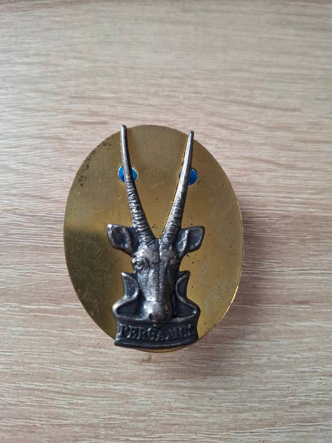 SWATF Cap / Beret badge (Metal)