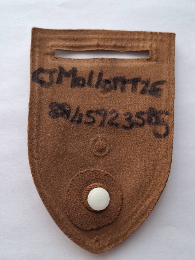 SADF Nutria Shoulder Flash - 2 SSB with NW Command Bar