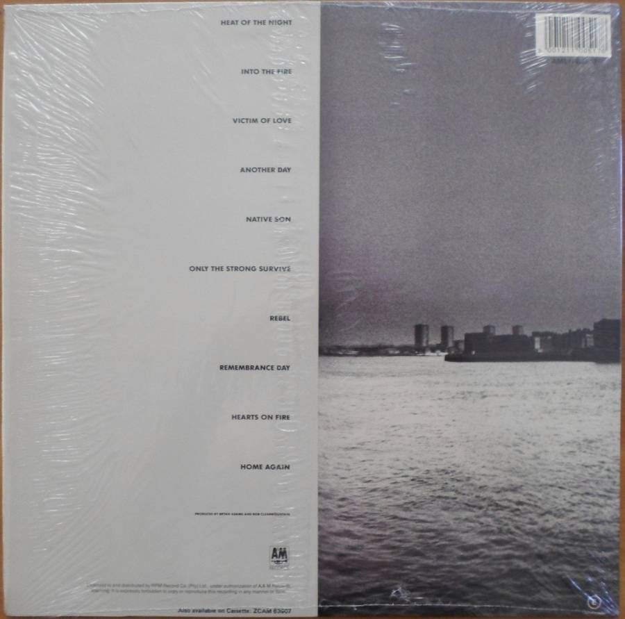 Bryan Adams - Into the Fire