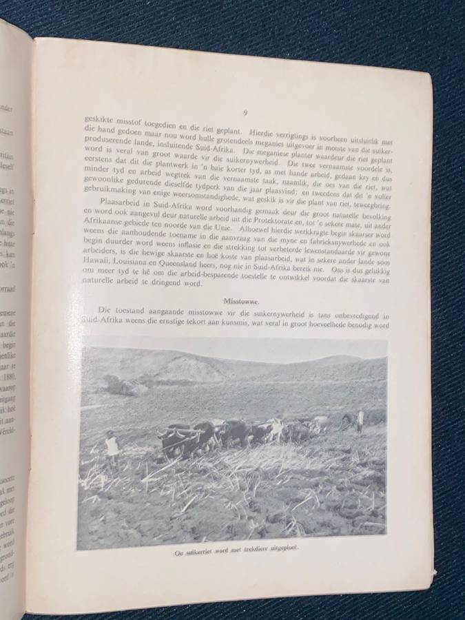 SUGAR THE ORIGIN AND DEVELOPMENT OF A PRIMARY INDUSTRY