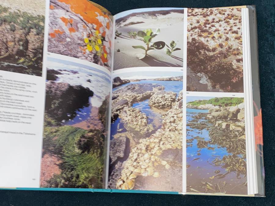 THE LIVING SHORES OF SOUTHERN AFRICA BY MARGO & GEORGE BRANCH