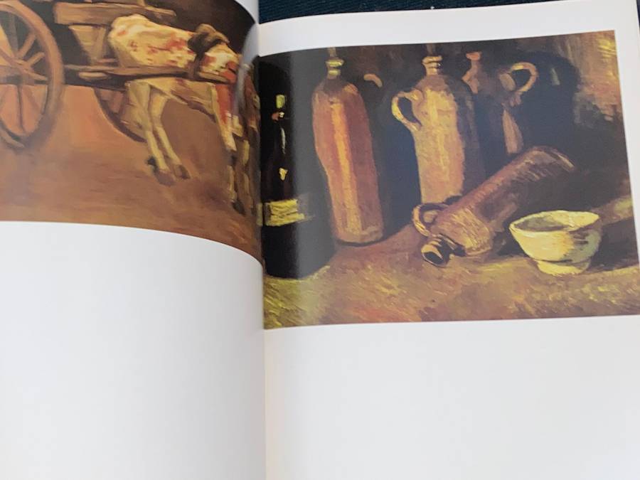 HET KOMPLETE WERK VAN VINCENT VAN GOGH- MEESTERS DER SCHILDERKUNST