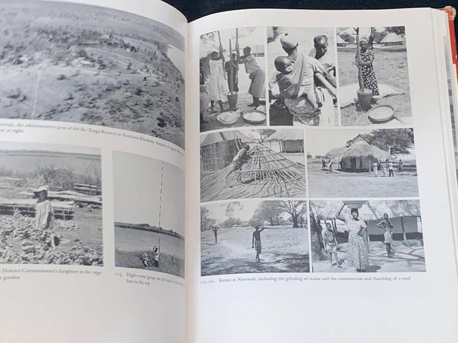 FOCUS ON AFRICA BY RICHARD UPJOHN LIGHT 1944