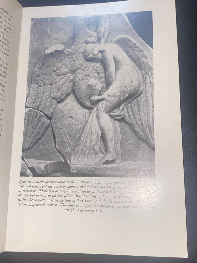 LOVE'S PICTURE BOOK THE HISTORY OF PLEASURE AND MORAL INDIGNATION