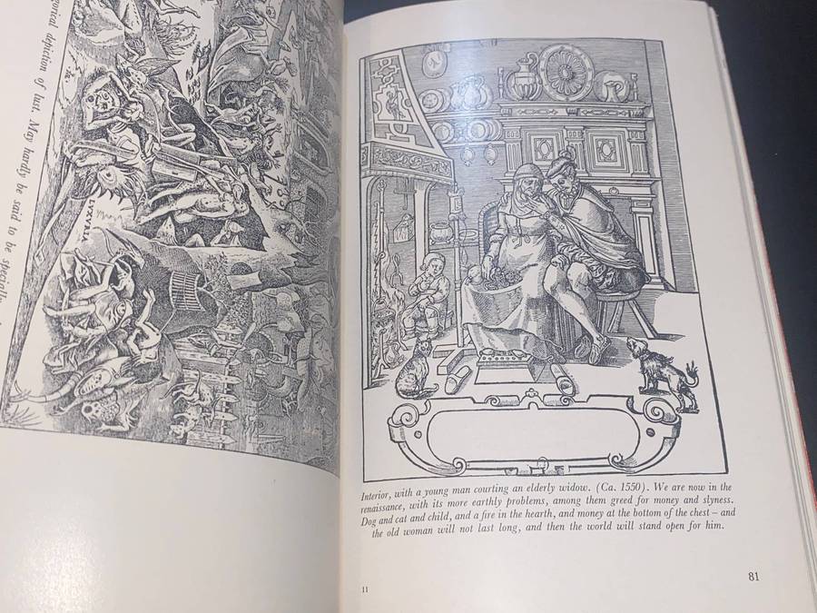 LOVE'S PICTURE BOOK THE HISTORY OF PLEASURE AND MORAL INDIGNATION