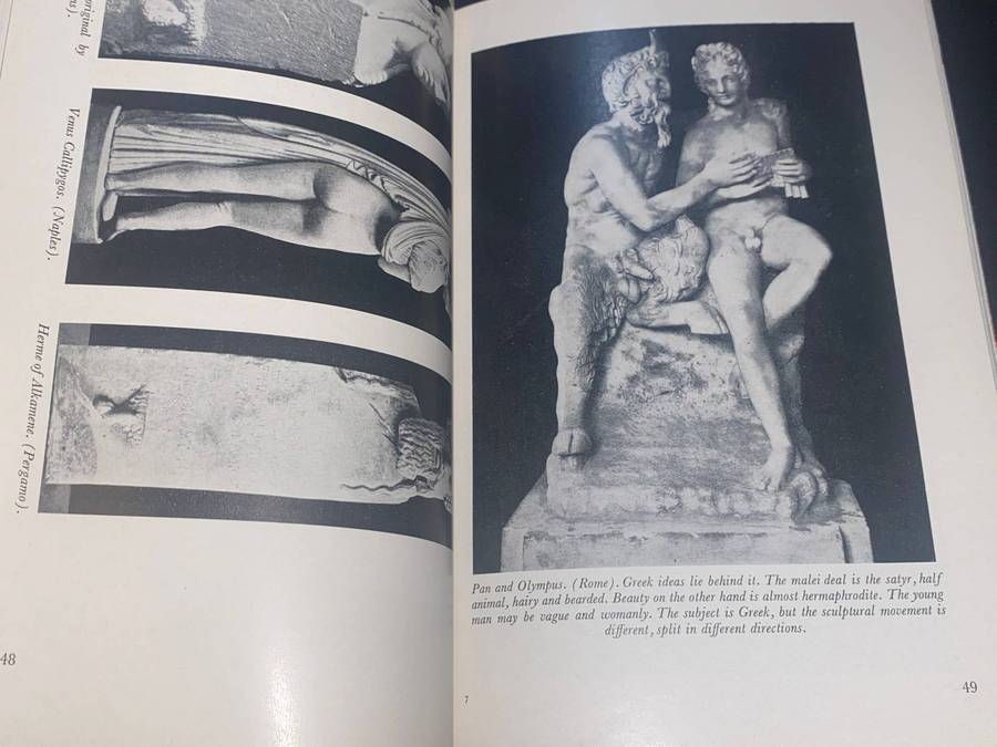 LOVE'S PICTURE BOOK THE HISTORY OF PLEASURE AND MORAL INDIGNATION
