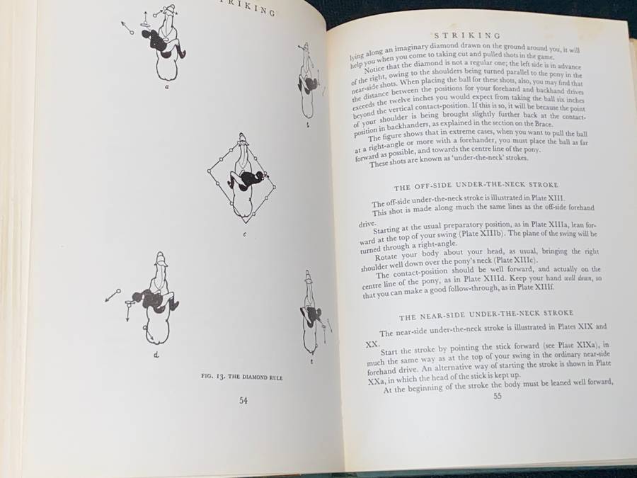AN INTRODUCTION TO POLO BY MARCO
