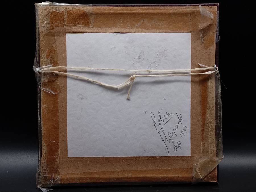 Vintage! Framed -Straw Art- Robin On A Branch