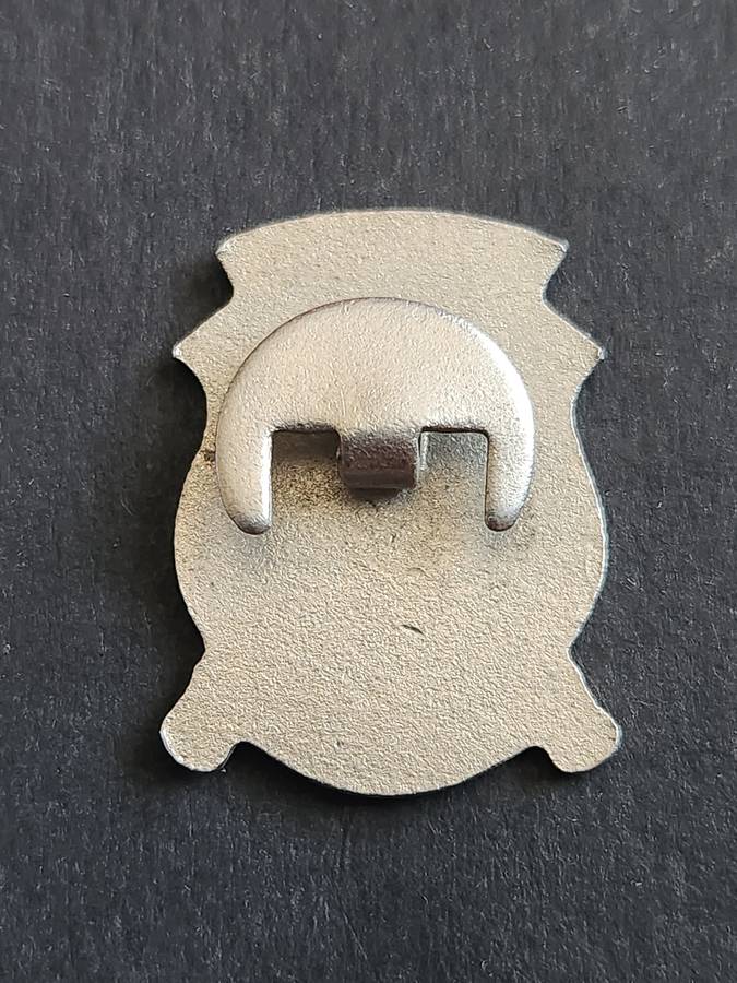 Grey College 100 Years 1955 Badge