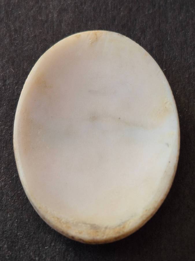 Vintage Shell Cameo