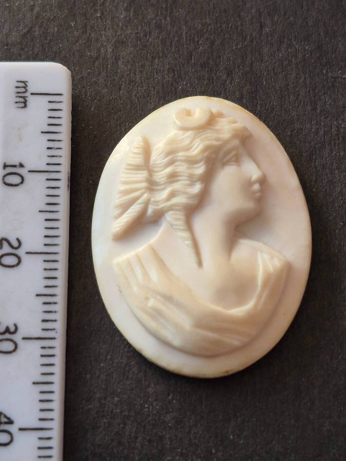 Vintage Shell Cameo