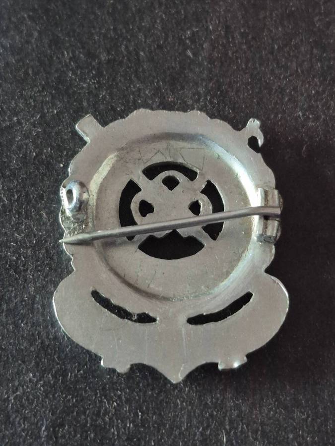 Royal Life Saving Society Medallion