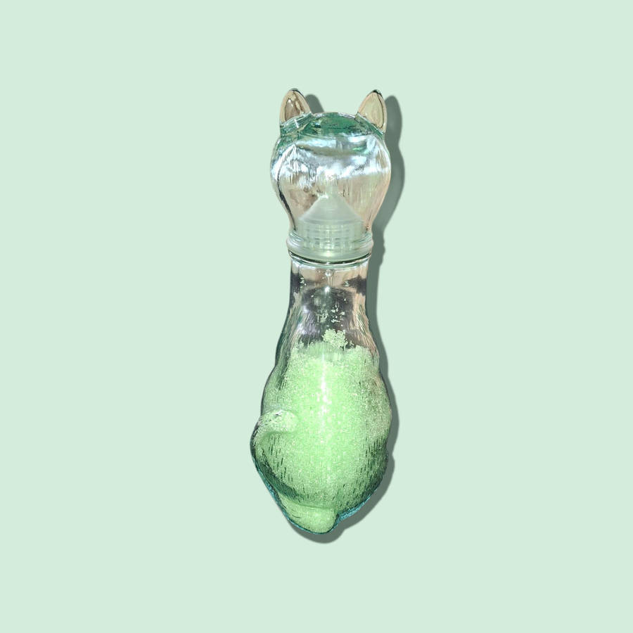 Set of 2 Vintage Retro Clear Glass Cat dog Empoli Genie Decanter Bottle Italian