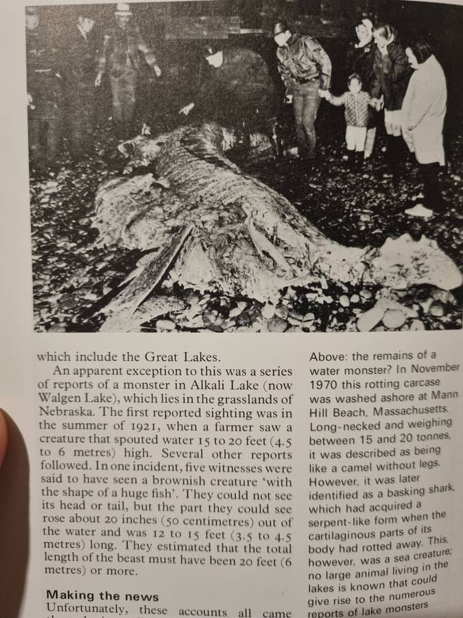 Mysteries of Mind, Space, and Time.