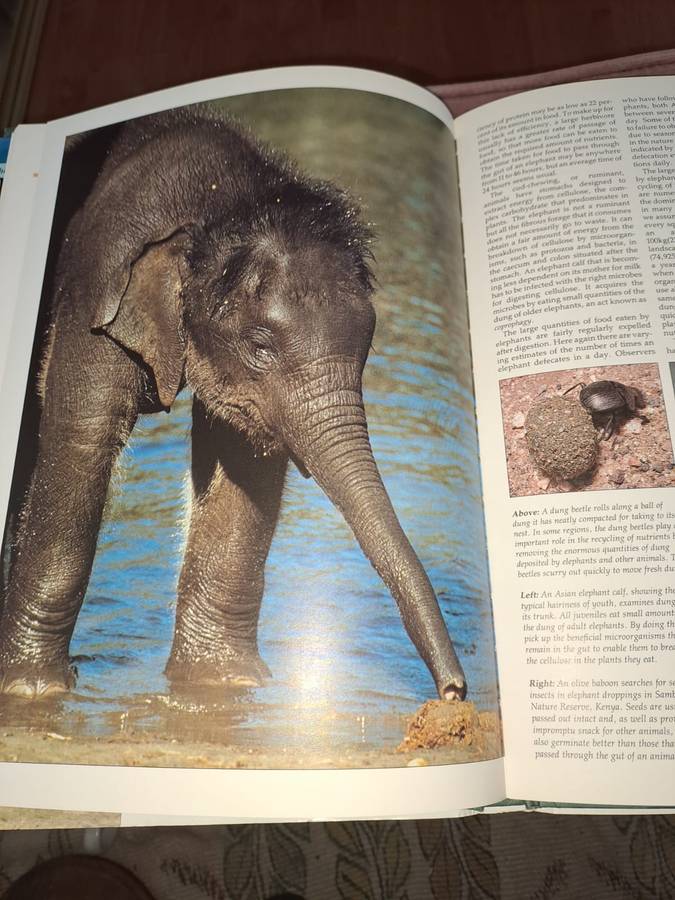 Illustrated Encyclopedia of Elephants, 188 pages
