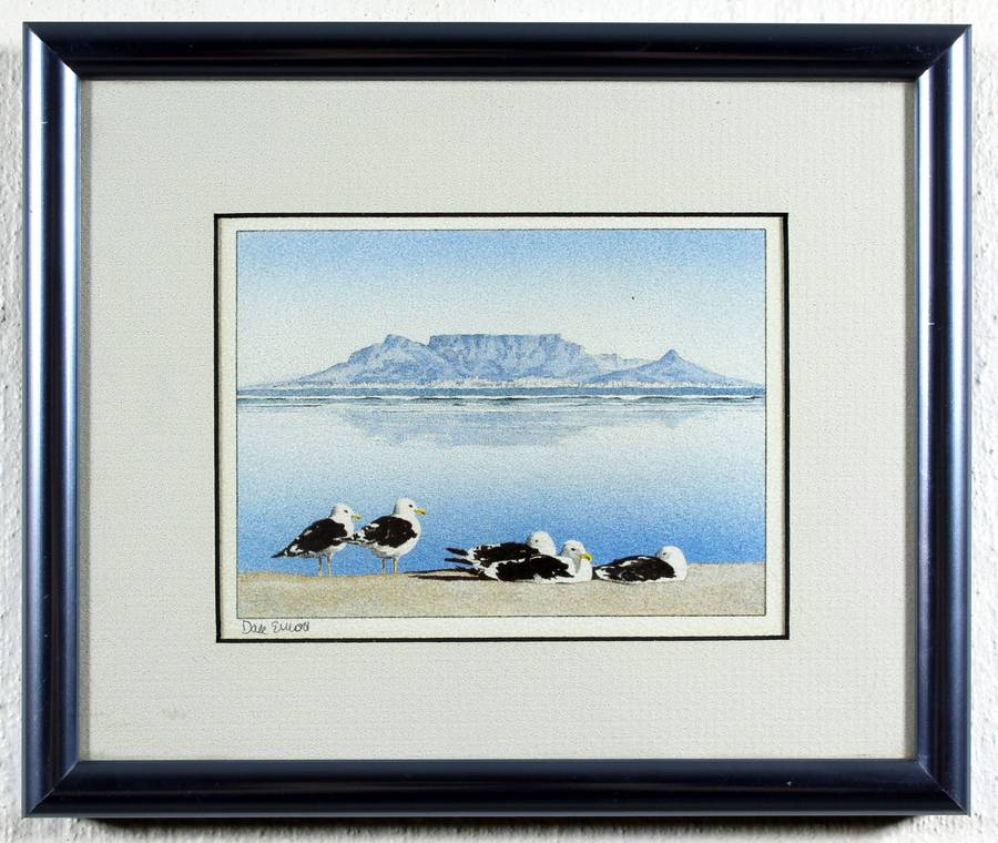 Dale Elliot - Table mountain & seagulls