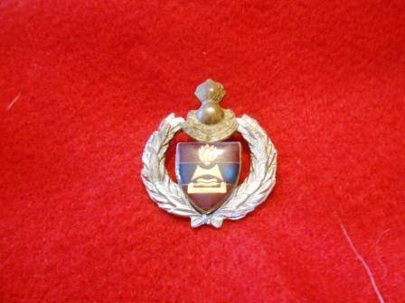 2 Field Engineers Beret badge
