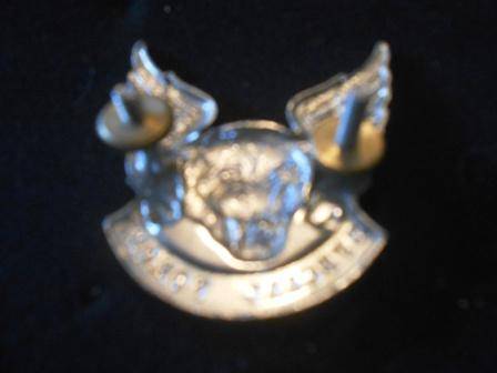 Transkei Special Forces Cap Badge