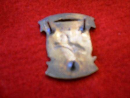 Police Tactical Response Team Badge