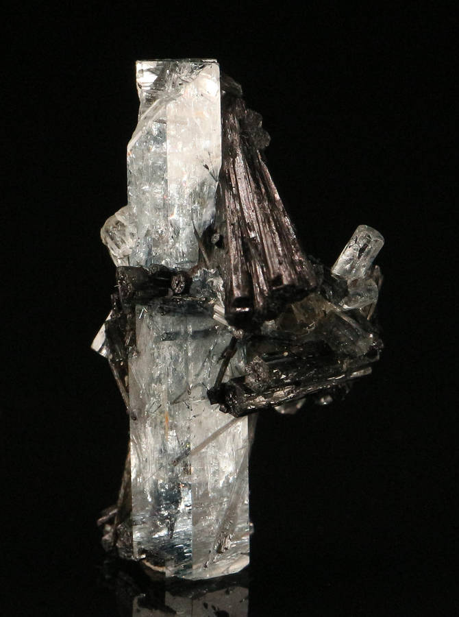 Schorl on Aquamarine, Erongo Mnt Region, Namibia