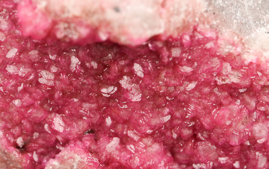 Cobaltoan Calcite on Matrix, Kakanda deposit, Lubudi, Lualaba, DR Congo