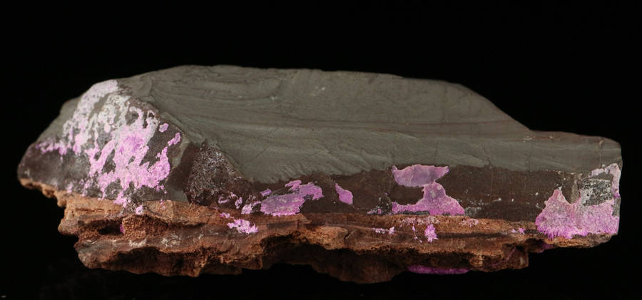 Sugilite on Matrix, "N'Chwaning III Mine, Kalahari Manganese Field, Northern Cape, South Africa "