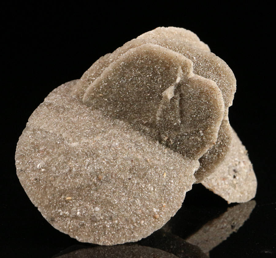 Desert Rose, Namibia