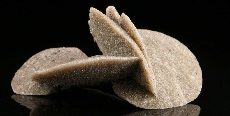 Desert Rose, Namibia