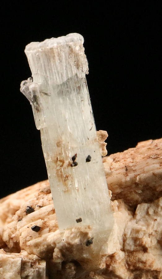 Aquamarine on Feldspar, Erongo Mnt Region, Namibia