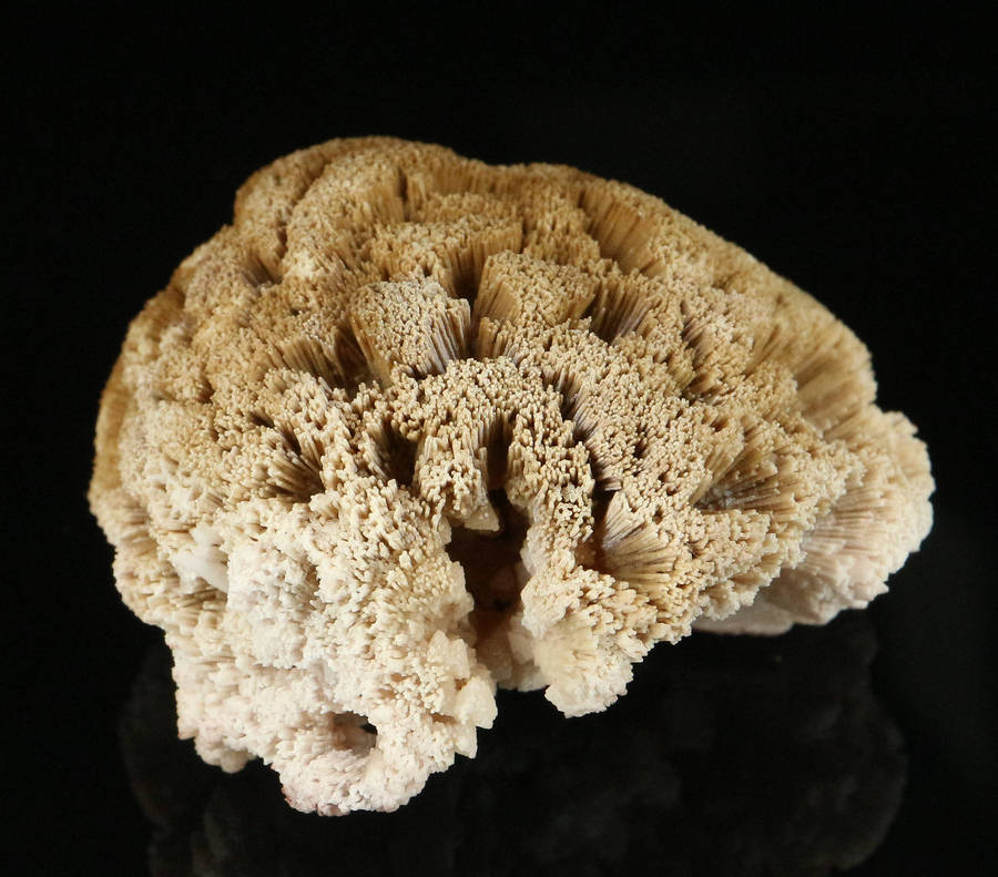 Kutnohorite Cluster, "N'Chwaning II Mine, Kalahari Manganese Field, Northern Cape, South Africa "