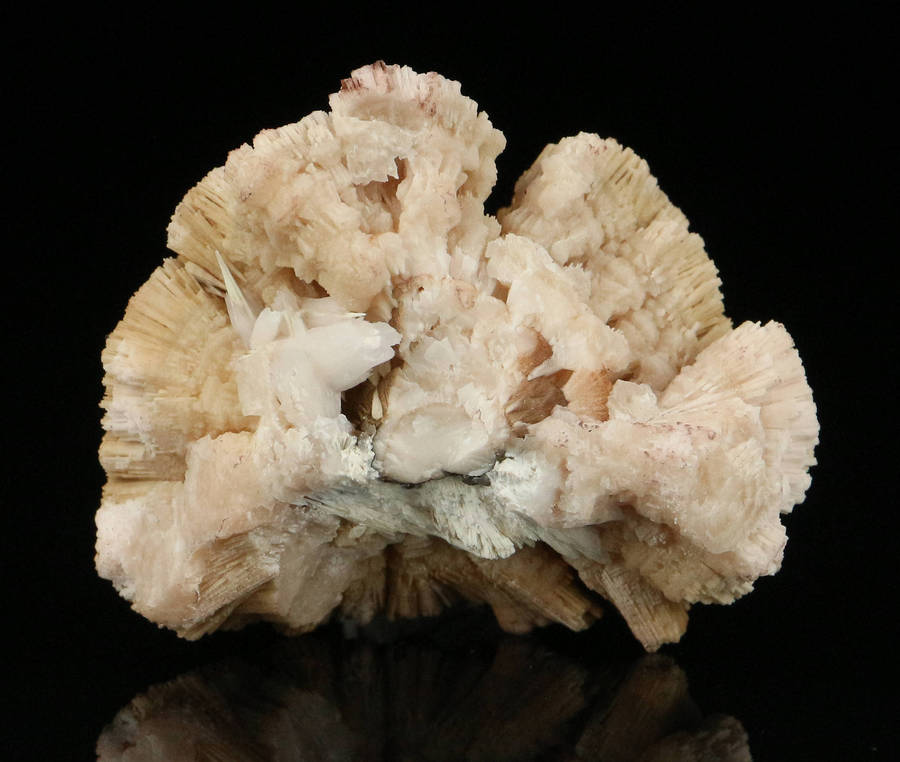 Kutnohorite Cluster, "N'Chwaning II Mine, Kalahari Manganese Field, Northern Cape, South Africa "