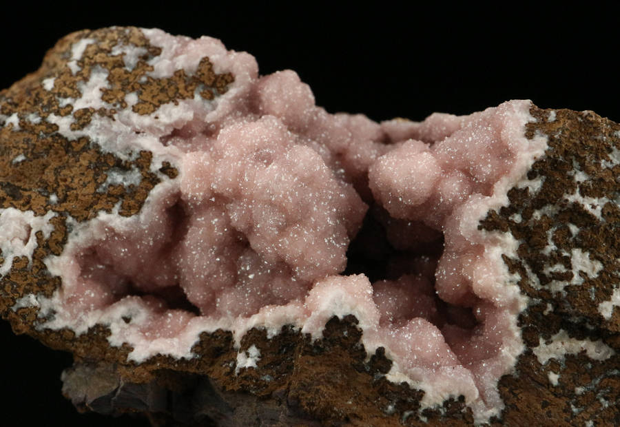 Rhodochrosite on Matrix,"N'Chwaning III Mine, Kalahari Manganese Field, Northern Cape, South Africa