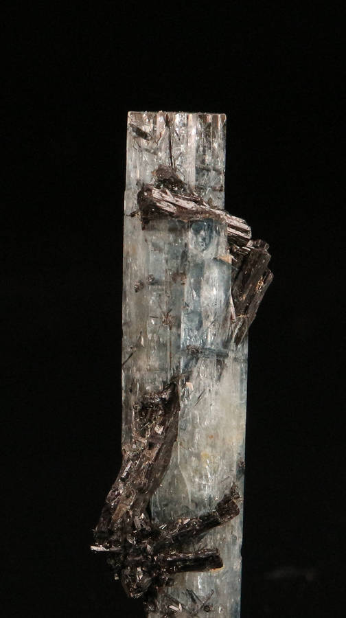 Schorl on Aquamarine, Erongo Mnt Region, Namibia