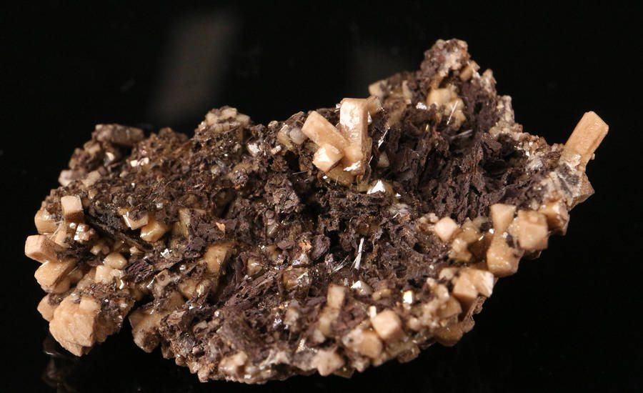 Bultfonteinite & Olmiite Cluster, N'Chwaning II, Northern Cape, South Africa