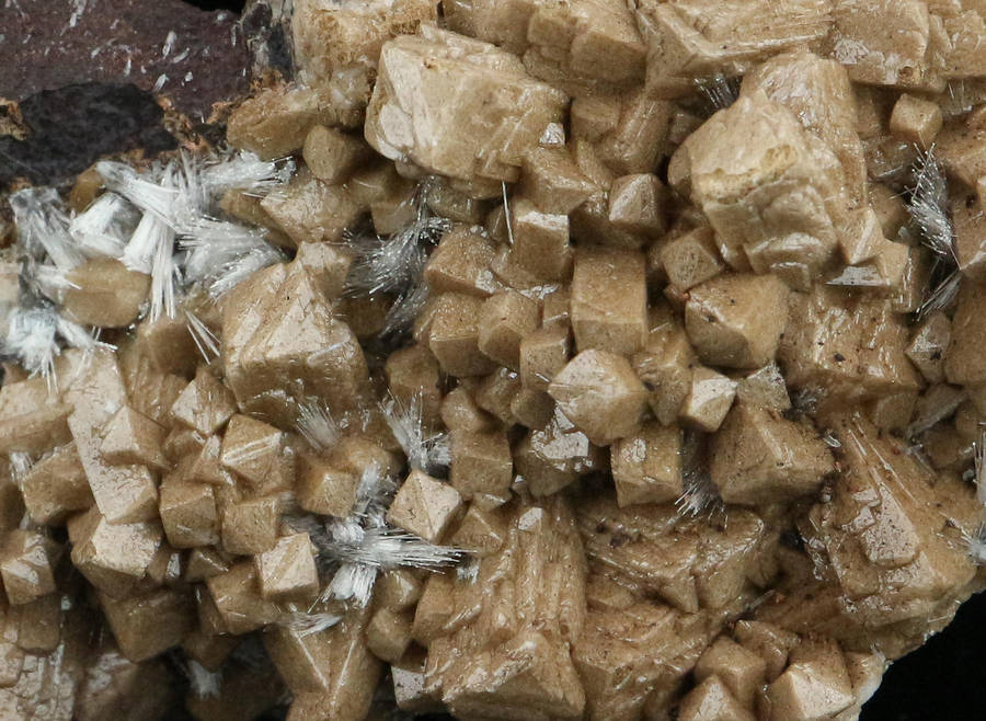 Olmiite on Matrix, "N'Chwaning II Mine, Kalahari Manganese Field, Northern Cape, South Africa "