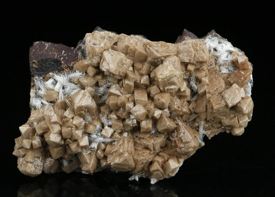 Olmiite on Matrix, "N'Chwaning II Mine, Kalahari Manganese Field, Northern Cape, South Africa "