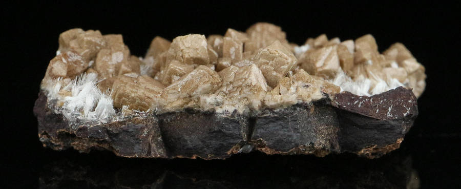 Olmiite on Matrix, "N'Chwaning II Mine, Kalahari Manganese Field, Northern Cape, South Africa "
