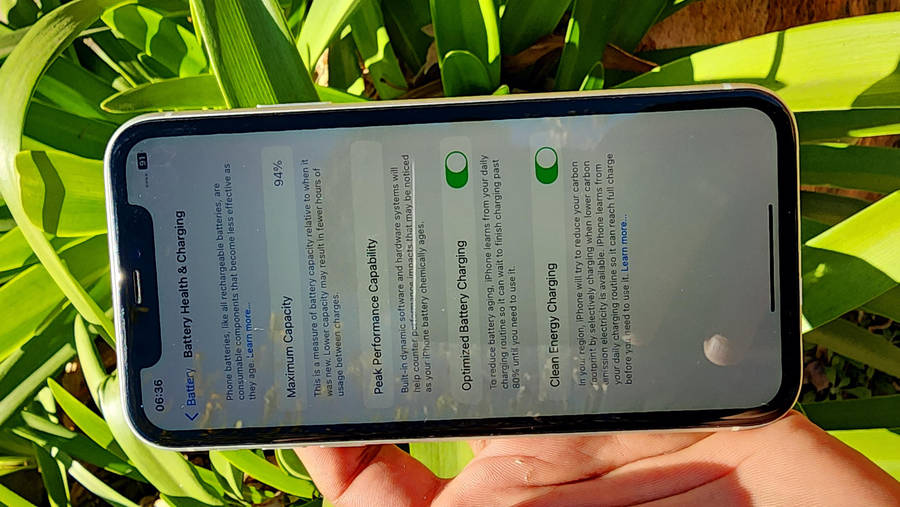 iPhone 11