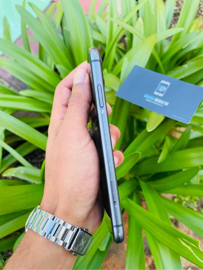 iPhone 11