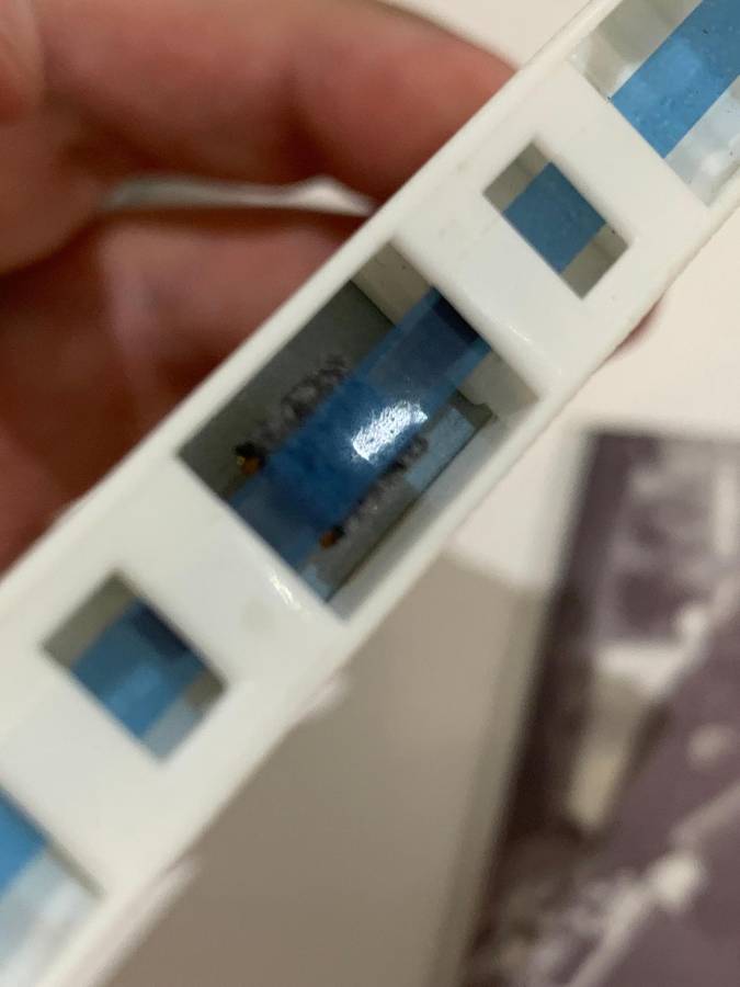 Cassette Tape - Tina Turner . Simply The Best - Not Tested / Sold As Is / See Pics