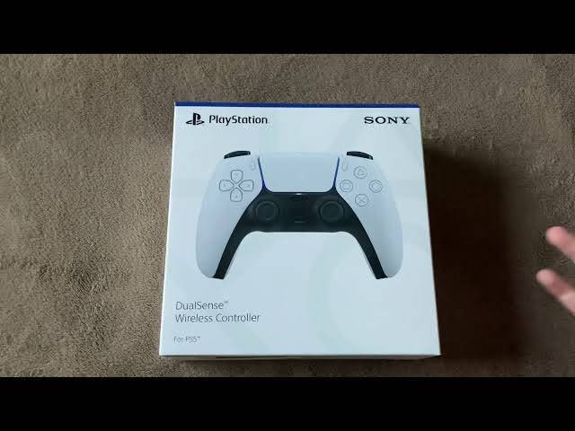 PS5 Controller