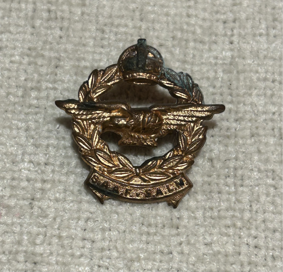 WW2 South African Air Force Pilots Gilt Brass Cap Badges SAAF SALM