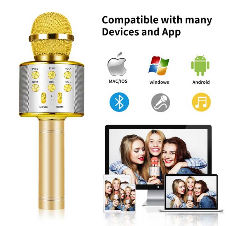 Karaoke Microphone Speaker