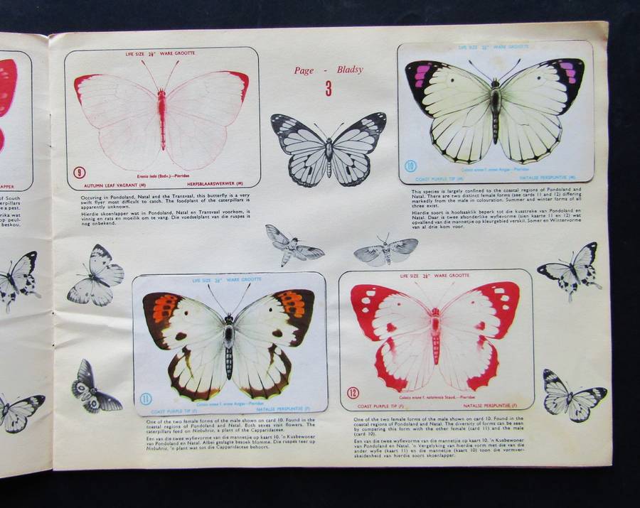 Old SA Butterflies and Moths Sticker Album