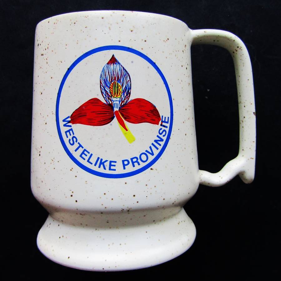 Old WP Western Province Rugby Beer Mug