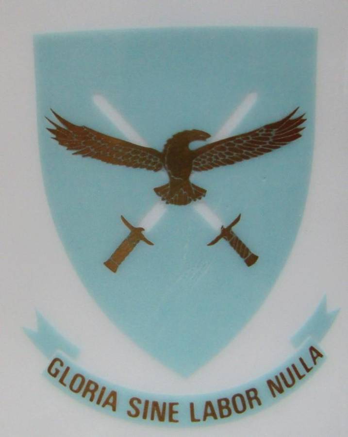 Old SAAF Headquarters Beer Mug