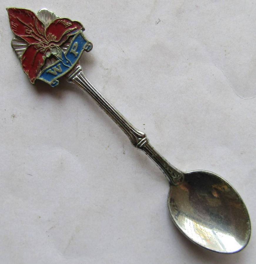 Old WP Western Province Rugby Crested Spoon