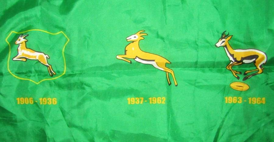 Large History of Springbok Rugby Flag